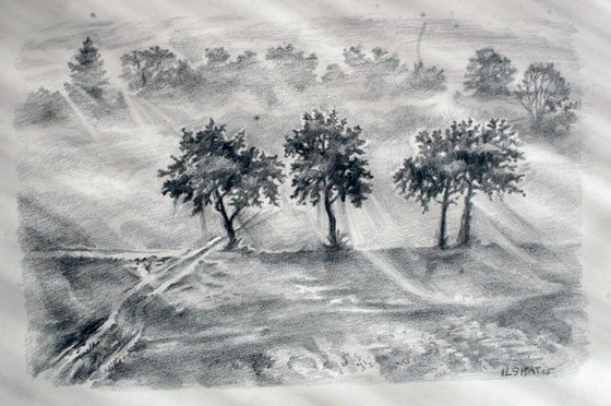 Trees . Drawing.