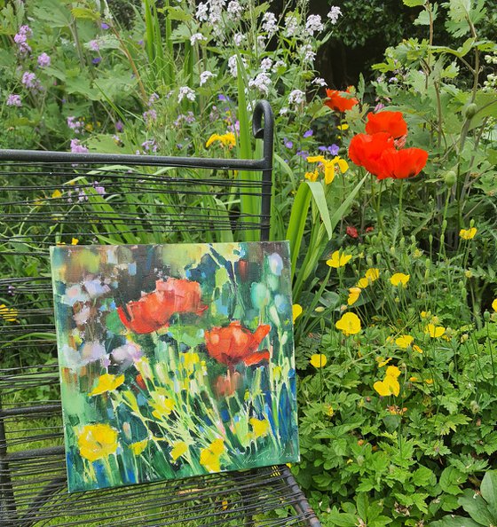 Red poppies