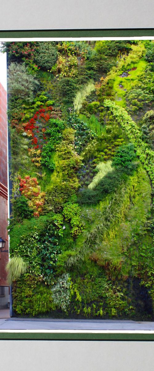 Living Wall, Madrid by Robin Clarke