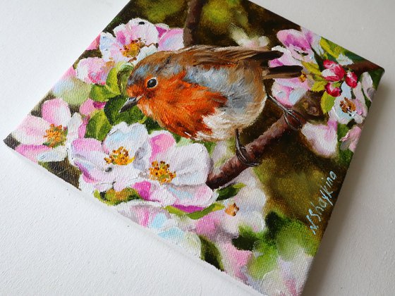 Robin with Apple Blossoms