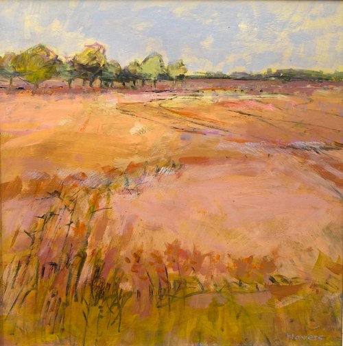 Harvest Fields by Chrissie Havers
