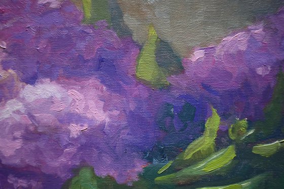 Lilac Spring