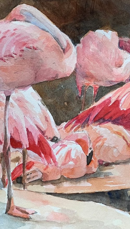 Sleeping Beauties by Bronwen Jones