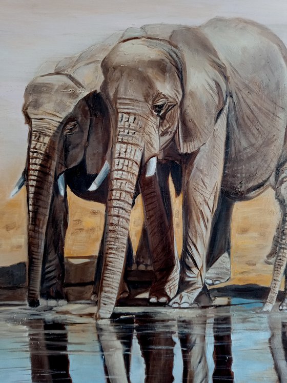 Elephants at the watering hole