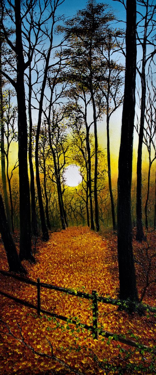 Sunset In a Forest by Hazel Thomson