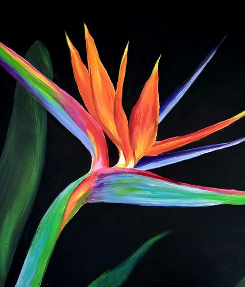 Bird of Paradise Colorful Oil Painting by Nersel Muehlen