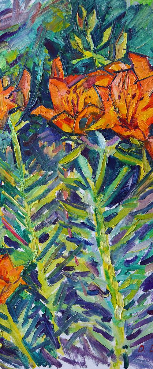 Orange lilies, evening  (plein air) by Dima Braga