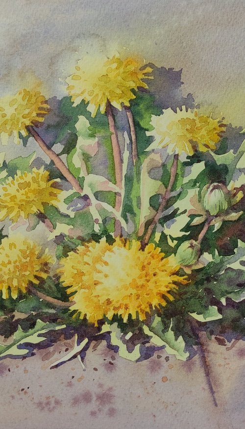 Ukrainian watercolor. Dandelions. Stolen spring by Nina Zakharova