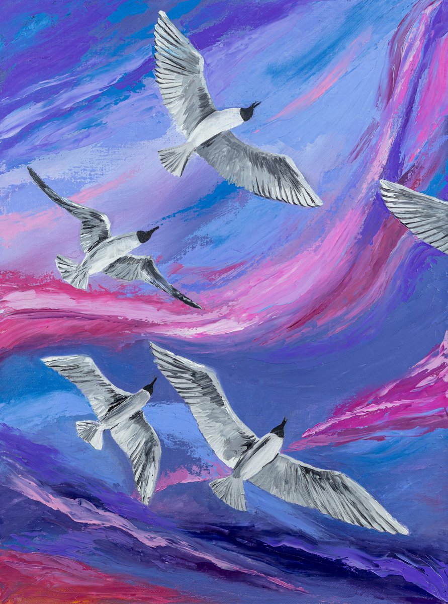 Seagulls by Daria Shalik