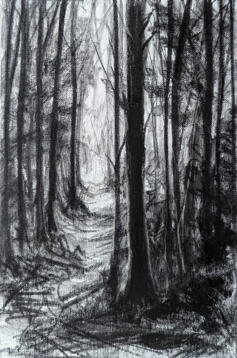 Photorealistic Landscape Charcoal Drawing By Sophie Adair, 11 X 15", Wander, Original Artwork