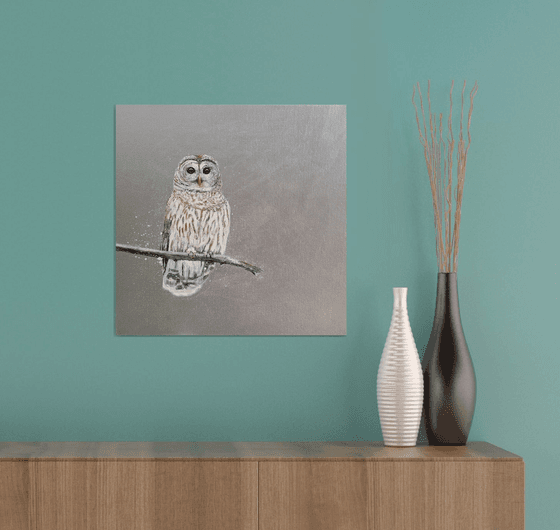 Tawny Owl ~ on silver