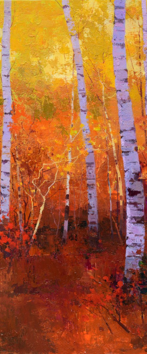 Birch trees forrest 089 by jianzhe chon