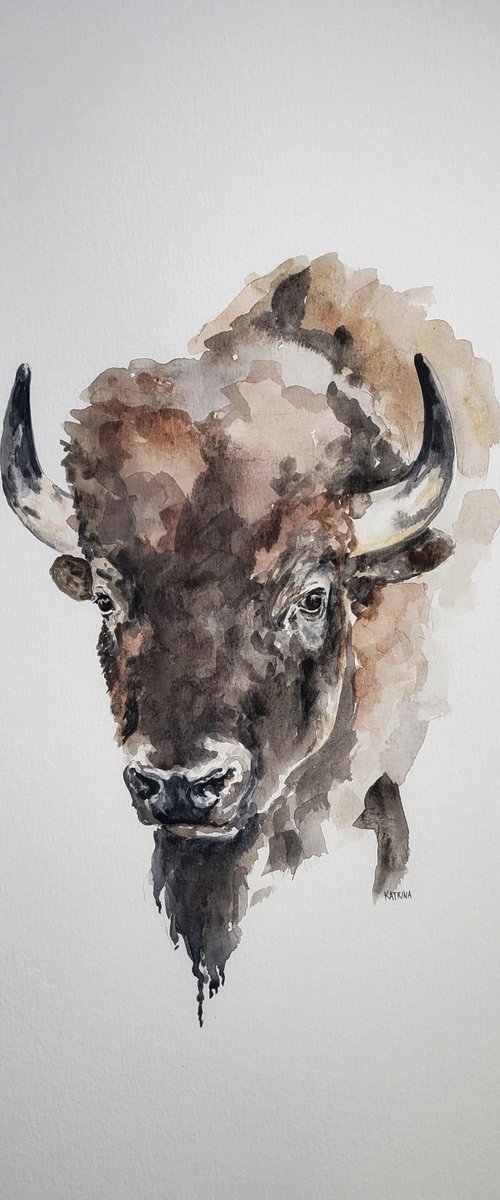 Bison - Buffalo - Wildlife - "Resilience" by Katrina Case