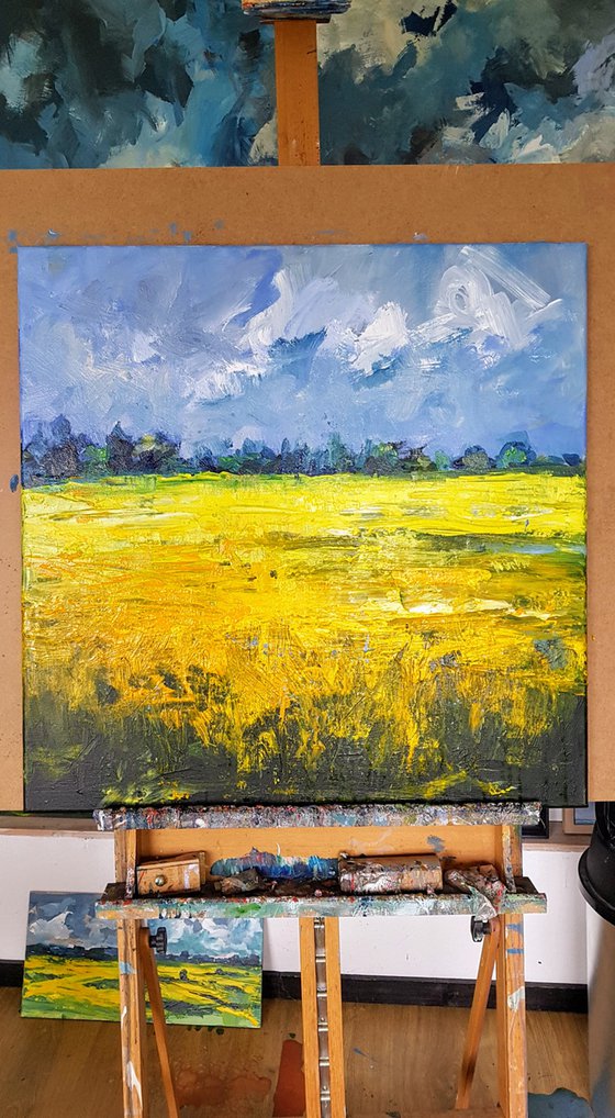 Yellow polder fields