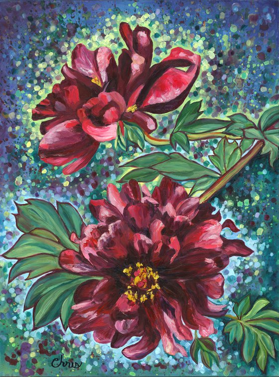 "Cora Louise" Peony Duet