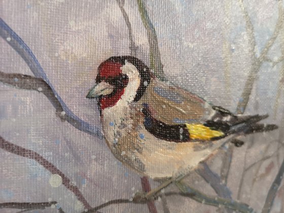 Goldfinch - 2