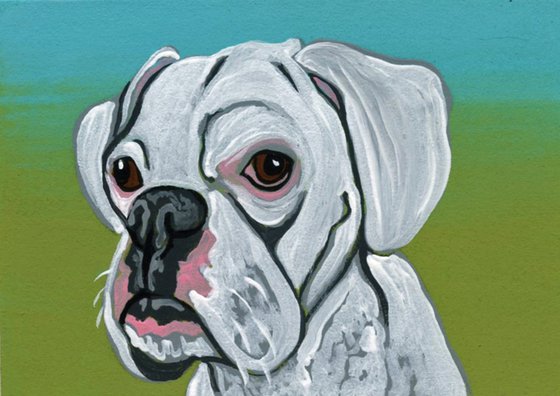 ACEO ATC Original Miniature Painting White Boxer Pet Dog Art-Carla Smale