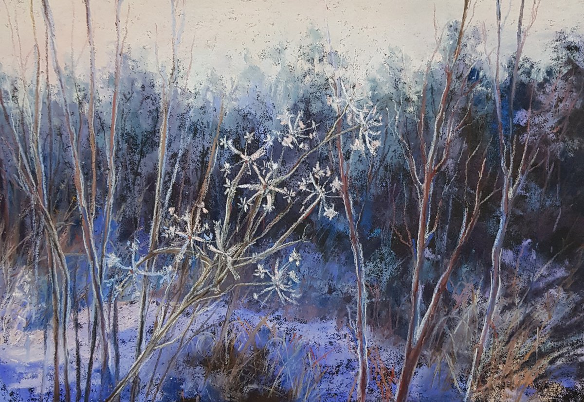 First frost. by Larisa Batenkova