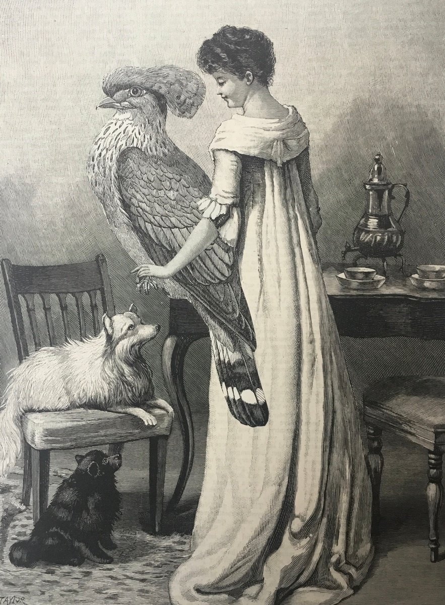 Surrealistic Portrait Collage By Tudor Evans, 6 X 9", Three Friends, Original Artwork