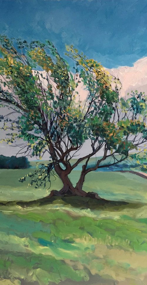 'Isolated Tree, in Spring, in Fife' by Stephen Howard Harrison