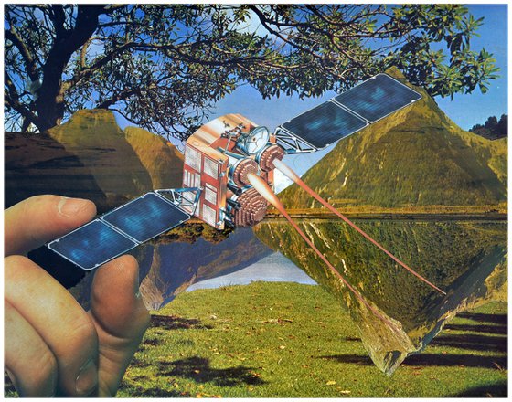 Watch Out For The Bugs