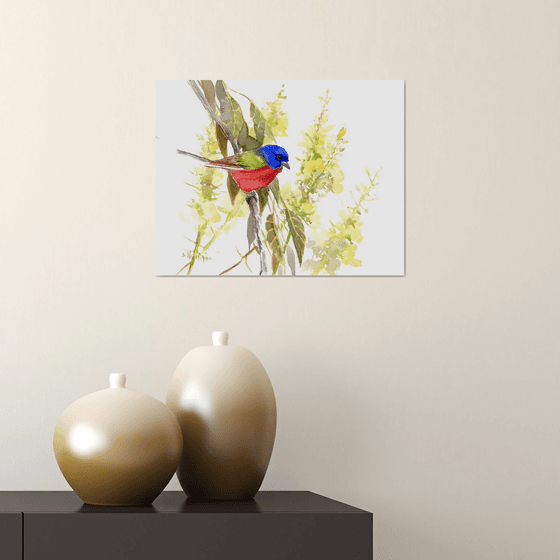 Painted Bunting Bird