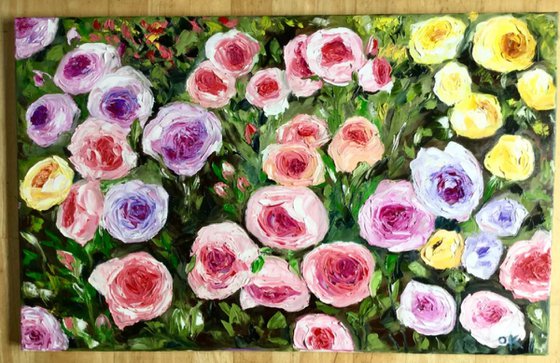 WHITE PINK YELLOW PURPLE