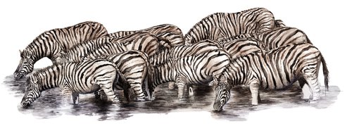 Messy Stripes by Carina Kramer