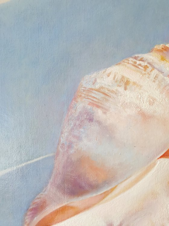 "An attribute of the divine Aphrodite."  still life seashell  liGHt original painting  GIFT (2021)