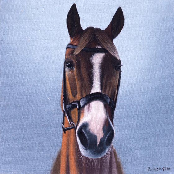 Horse Portrait 64