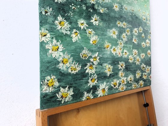 Daisies 2
