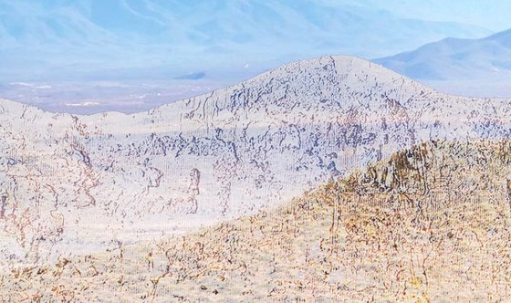 Sonora Desert