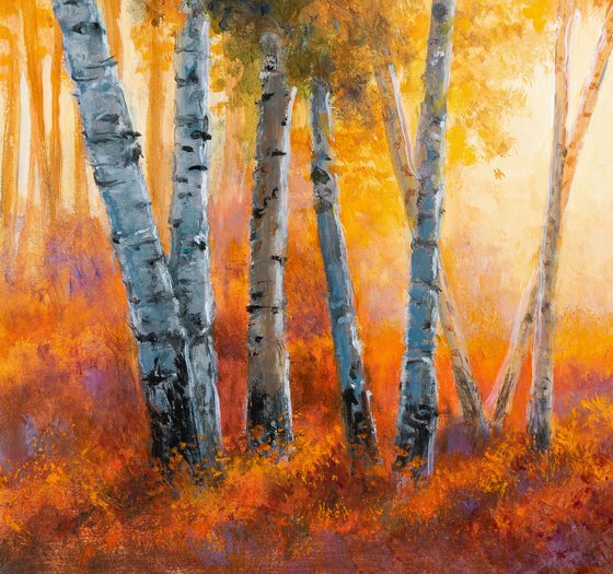 Autumn birch tree forest scene