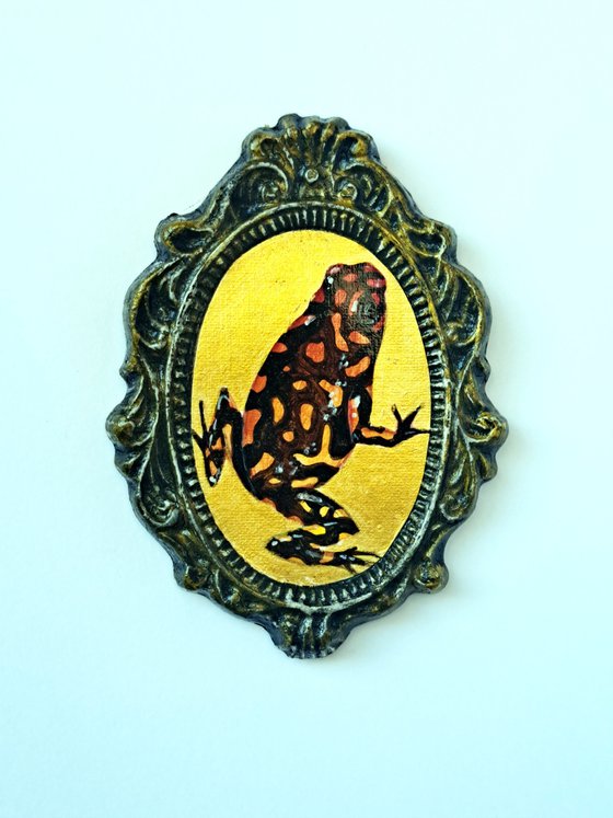 Harlequin poison dart frog, part of framed animal miniature series "festum animalium"