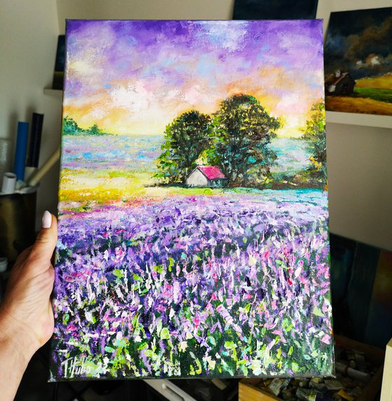 Lavender field