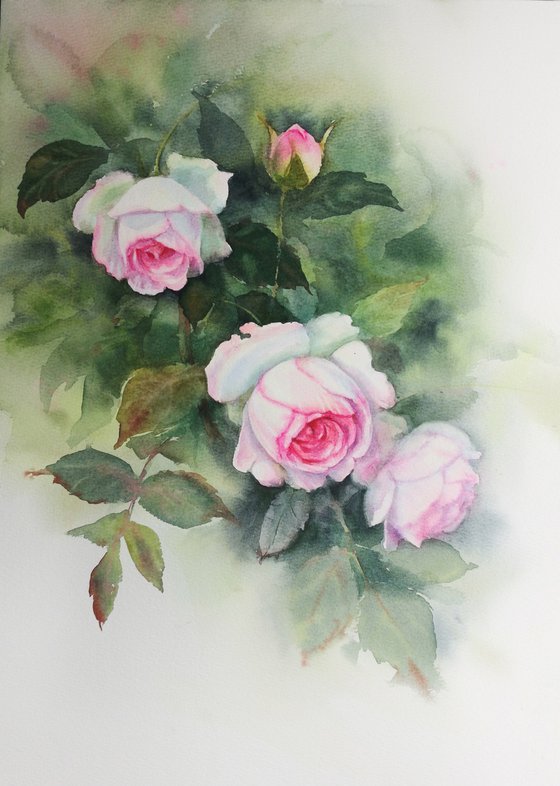 Whispers of an Old Rose Garden