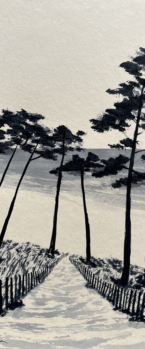 Ganivelles by Cadiou Frederic