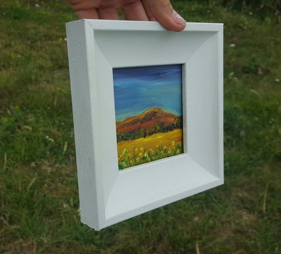 Summer Fields on Bray Head, Wicklow - a mini Irish masterpiece