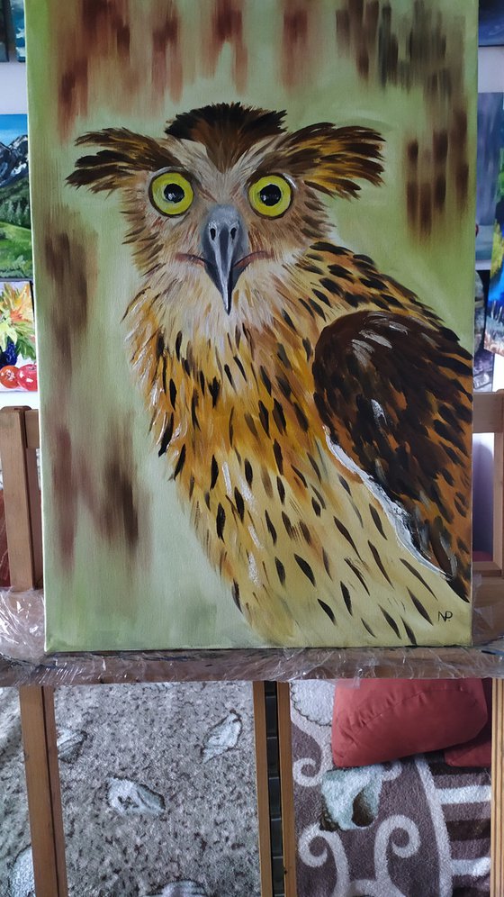 Hello brother! original owl oil painting, funny face, gift idea, art for home