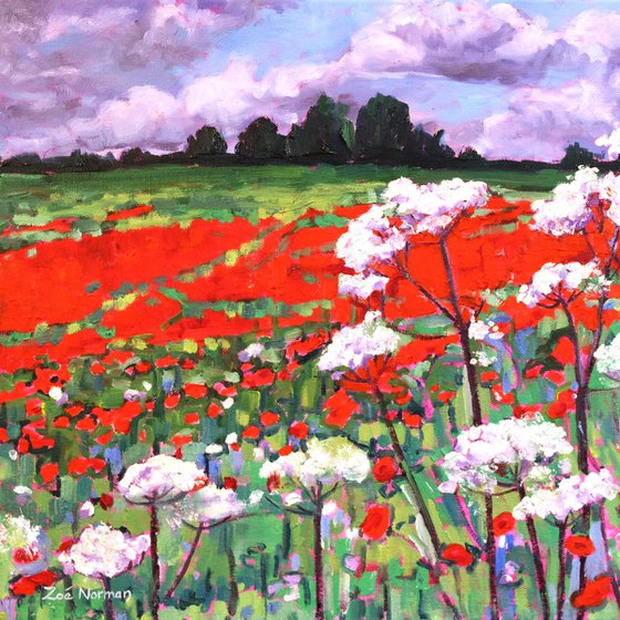 Poppy Field