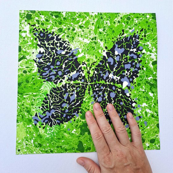 Butterfly «Malachite»