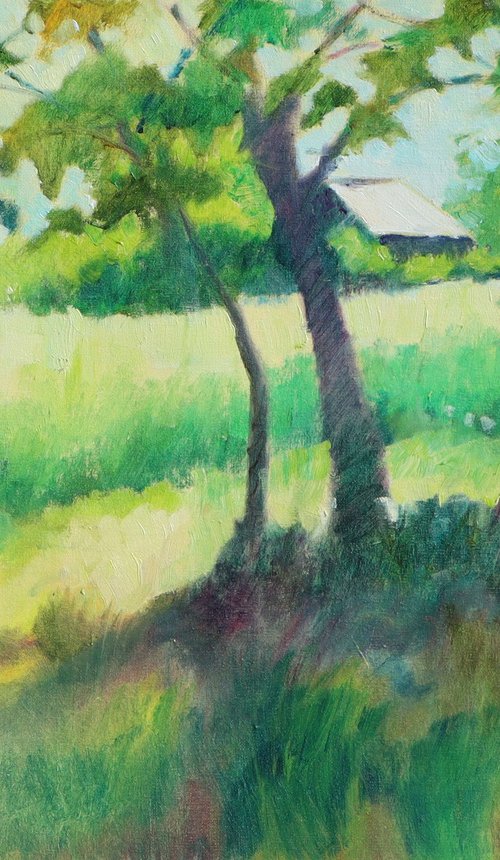 Barn Through the Trees by Mary Kemp