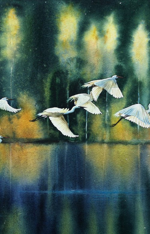 Flock of Snowy Egrets by Olga Beliaeva Watercolour
