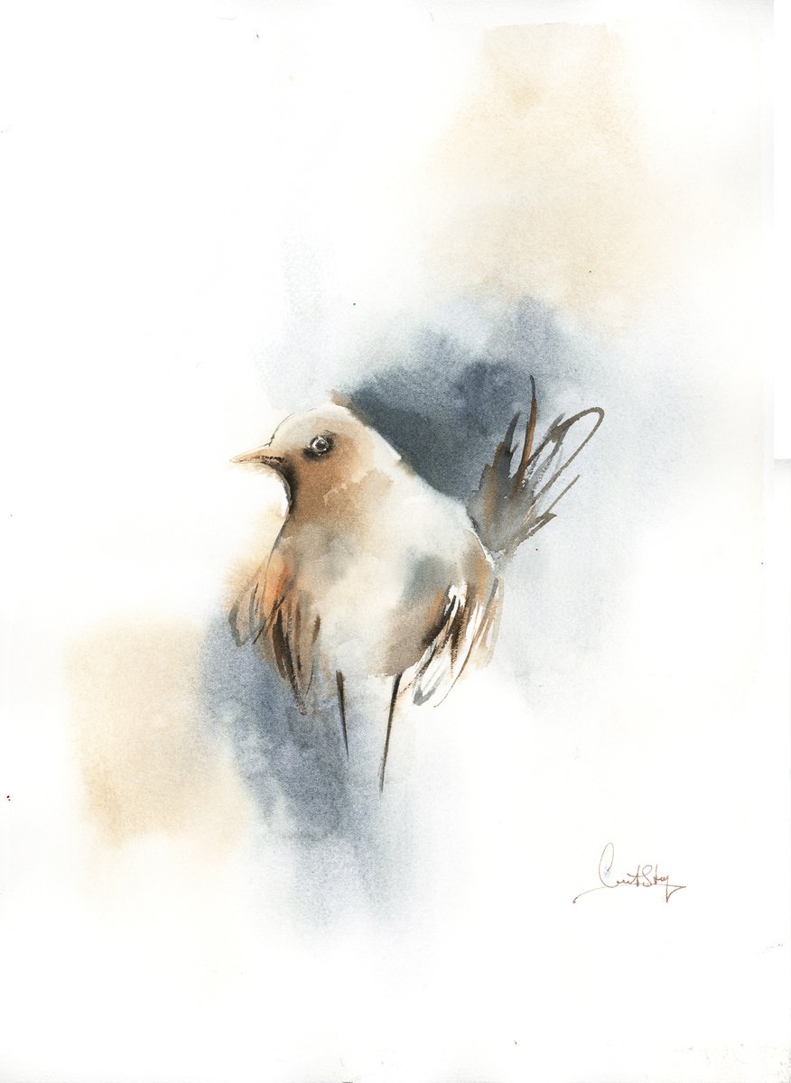 Birdie by Sophie Rodionov