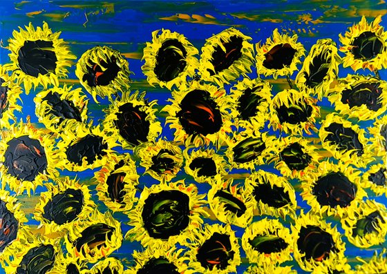 Blooming sunflowers 6