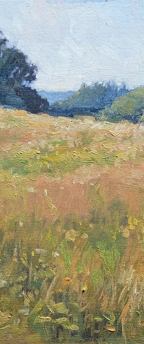 Indian Summer in a Meadow by Lisa Kyle