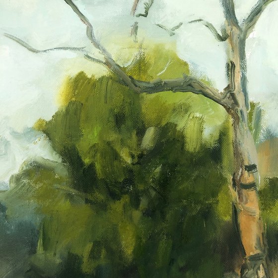 Fleetingly Spring