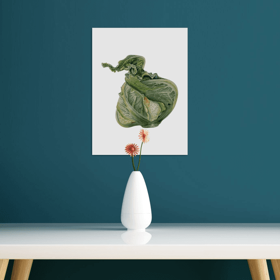 Cabbage