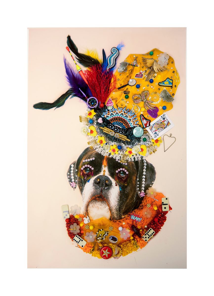 Urban And Pop Animal Photograph By B-Brown & Scheinmann, 22 X 30, Fiddler 3, Original Artwork