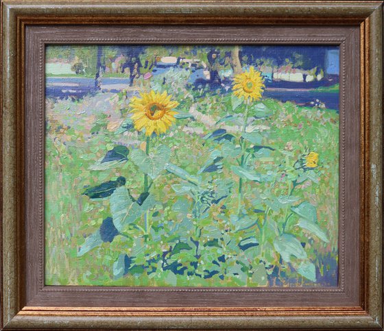Sunflowers in Maryino